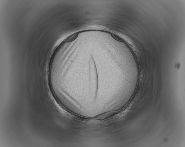 X0000096641430200803041116