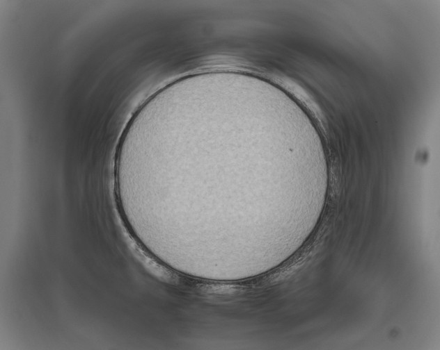 X0000096641431200803041116