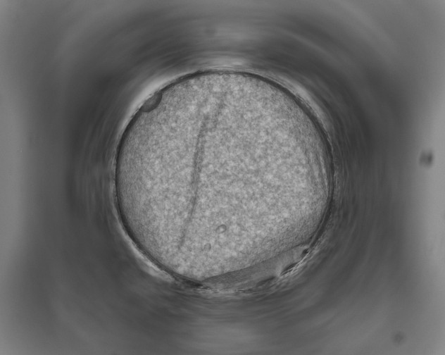 X0000096641432200803041116