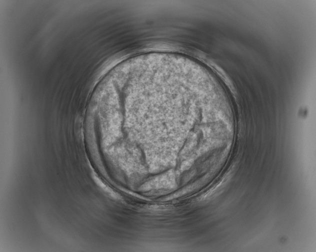 X0000096641433200803041116