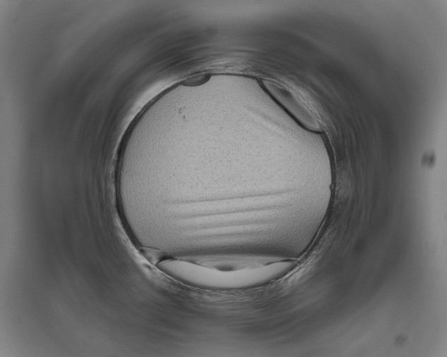 X0000096641434200803041116