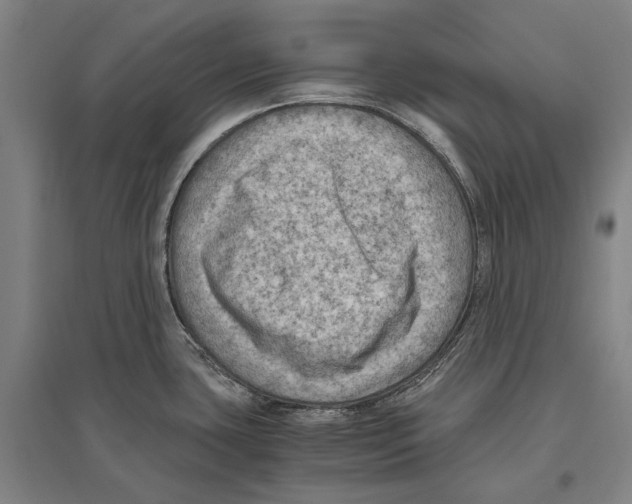 X0000096641435200803041116