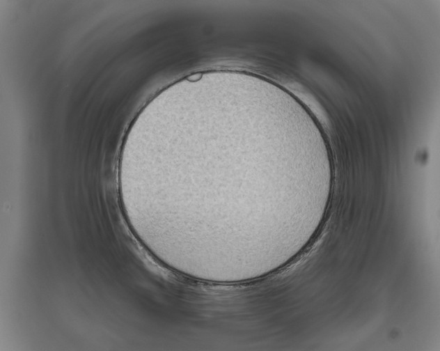 X0000096641436200803041116