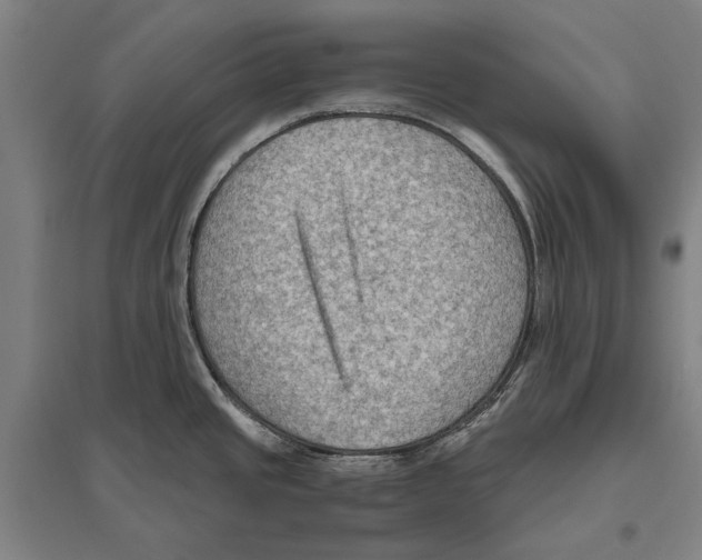 X0000096641437200803041116