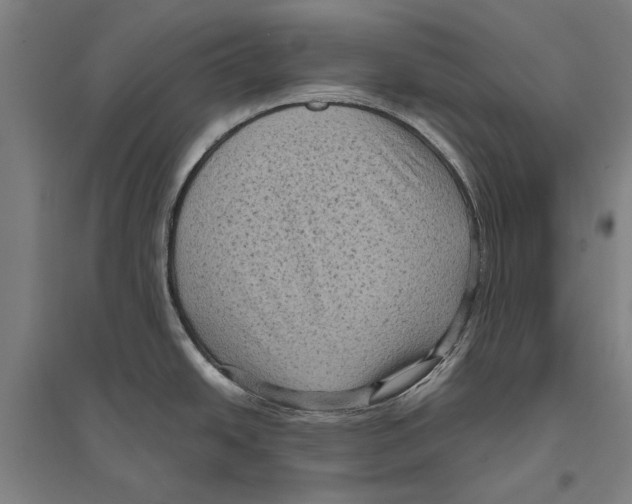 X0000096641438200803041116