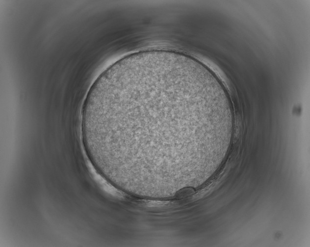 X0000096641439200803041116