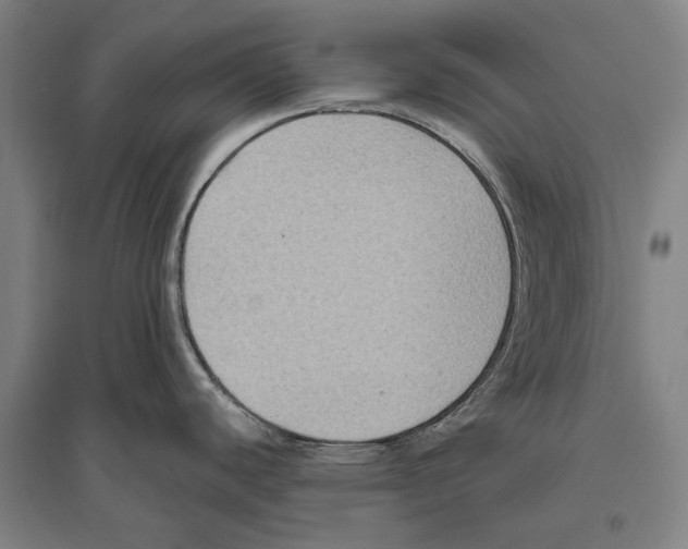 X0000096641440200803041116