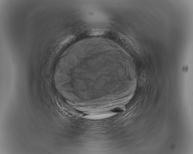 X0000096641441200803041115