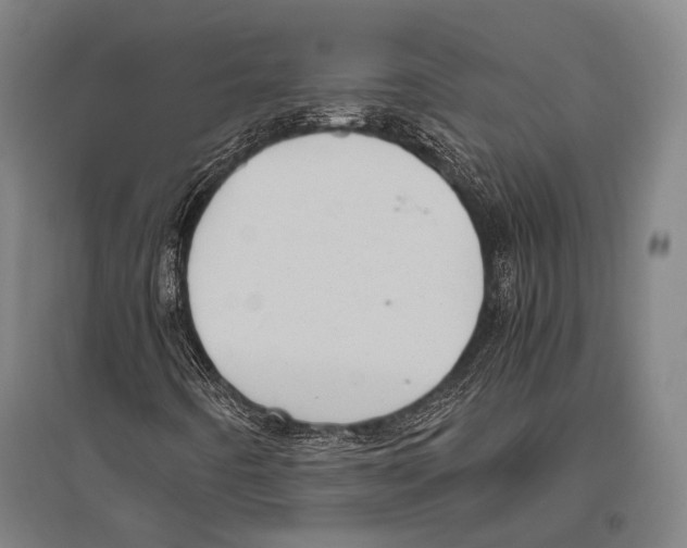 X0000096641442200803041115