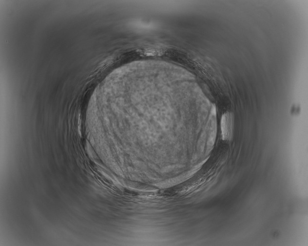 X0000096641443200803041115