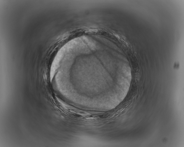 X0000096641445200803041115