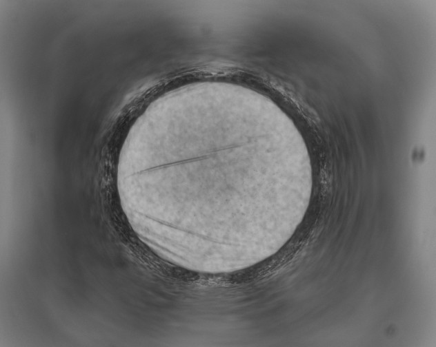 X0000096641447200803041115