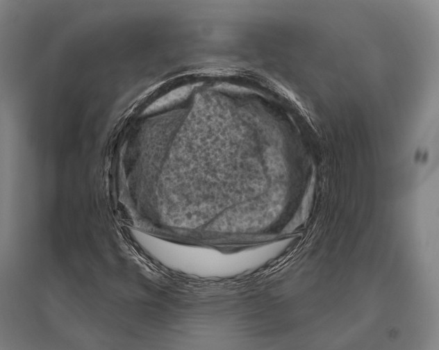 X0000096641448200803041115