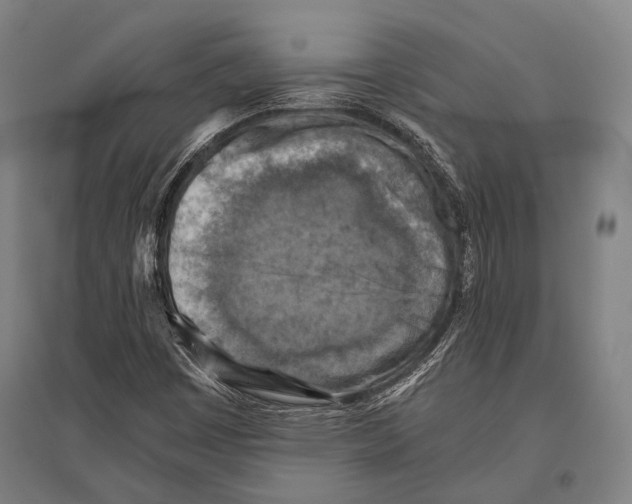 X0000096641449200803041115