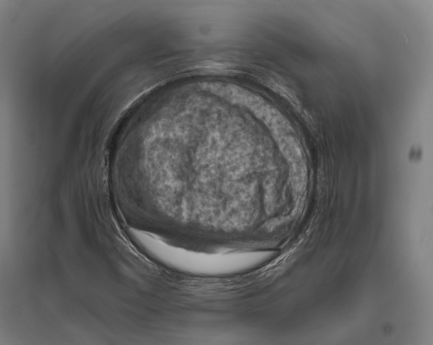 X0000096641450200803041115