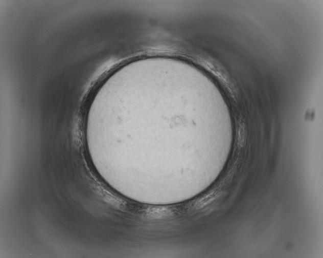 X0000096641454200803041115