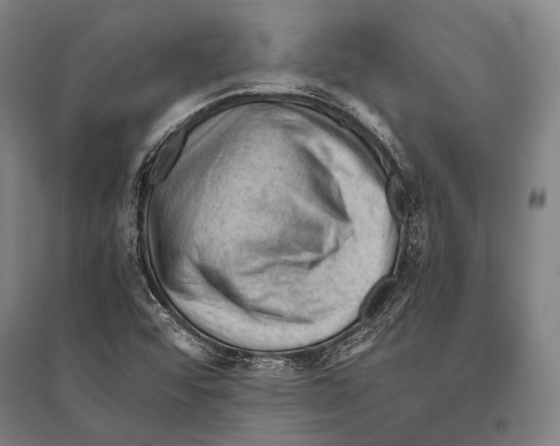 X0000096641456200803041115