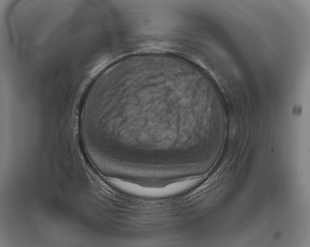 X0000096641459200803041115