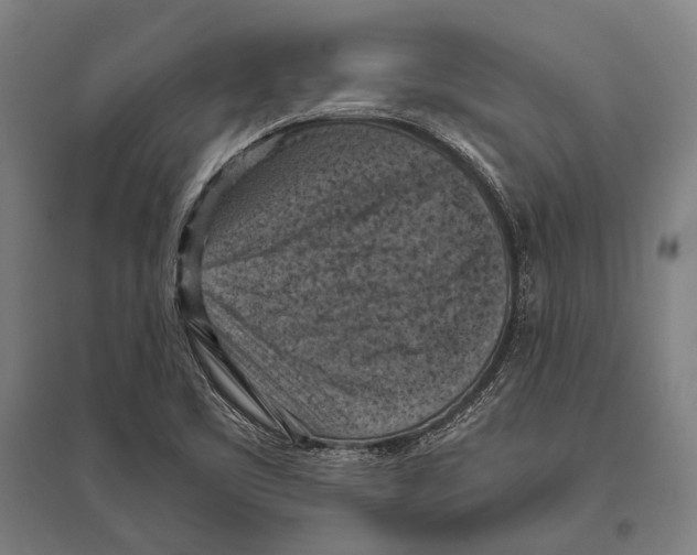 X0000096641461200803041115