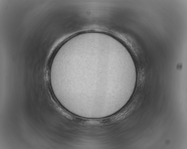 X0000096641462200803041115