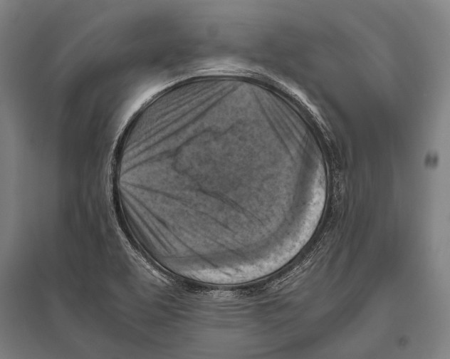 X0000096641463200803041115