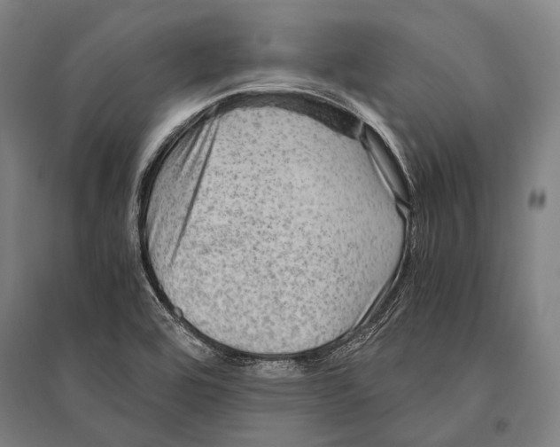 X0000096641464200803041115