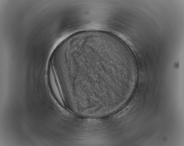 X0000096641469200803041115