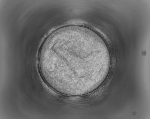 X0000096641471200803041115