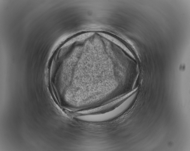 X0000096641472200803041115