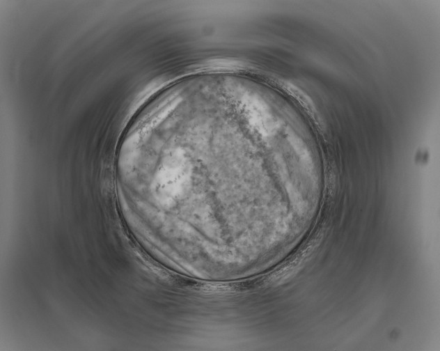 X0000096641473200803041115