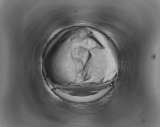 X0000096641476200803041115