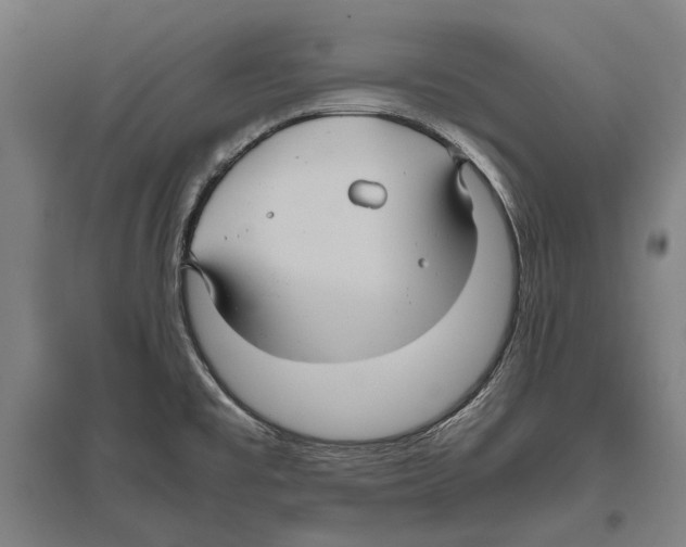 X0000096641477200803041115