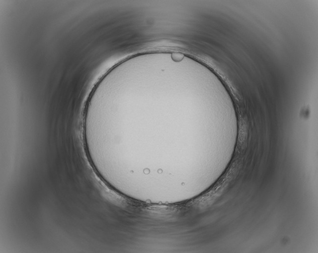 X0000096641478200803041115