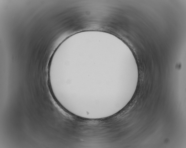 X0000096641479200803041115