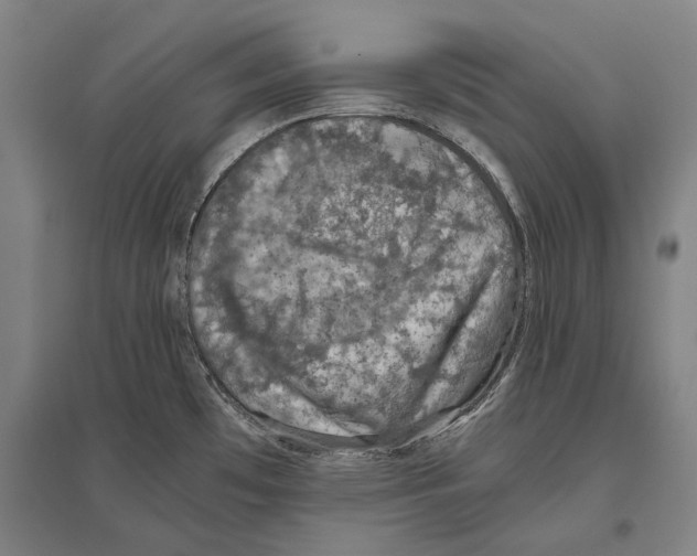 X0000096641481200803041115