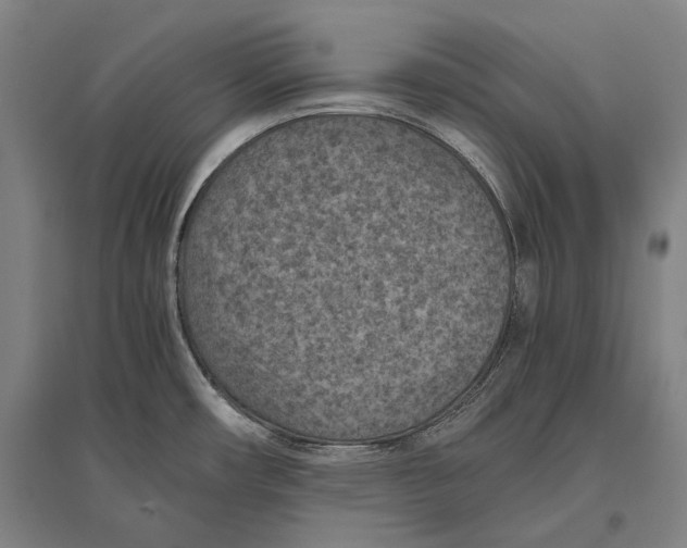 X0000096641482200803041115