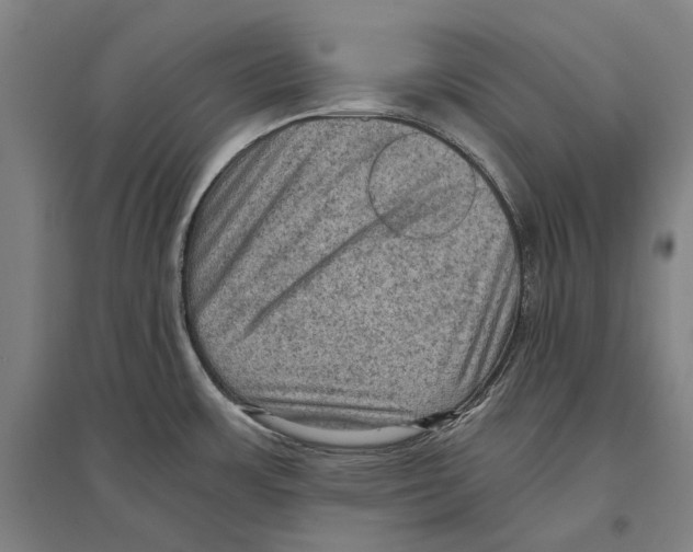 X0000096641483200803041115