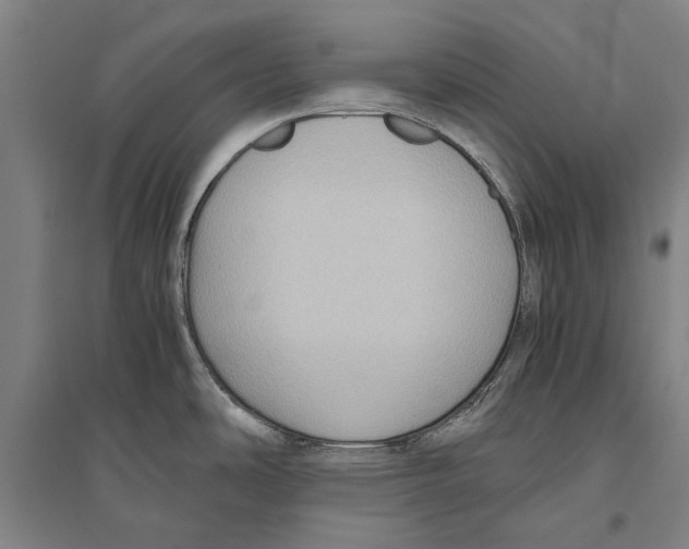 X0000096641486200803041115