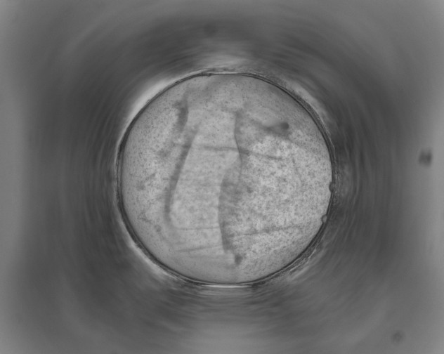 X0000096641487200803041115