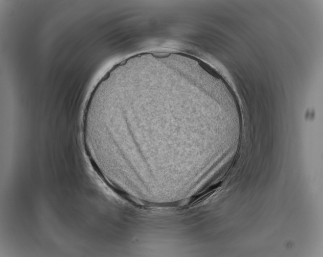 X0000096641488200803041115