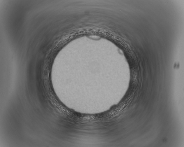 X0000096641489200803041114