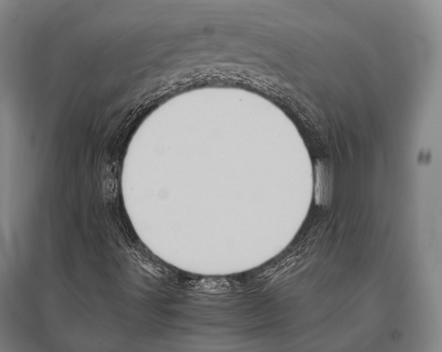 X0000096641491200803041114