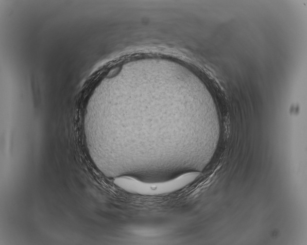 X0000096641494200803041114