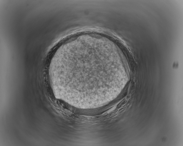 X0000096641496200803041114