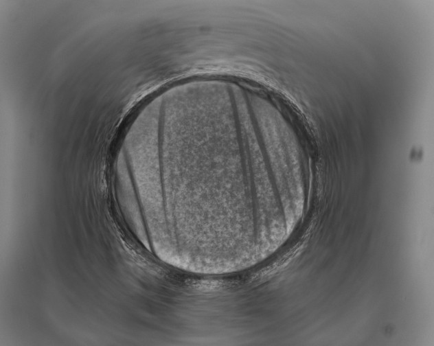 X0000096641497200803041114