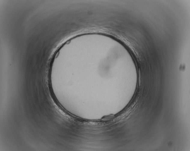 X0000096641500200803041114