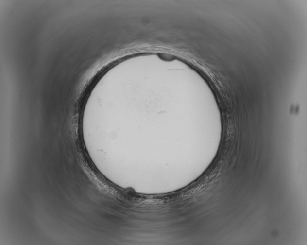 X0000096641503200803041114