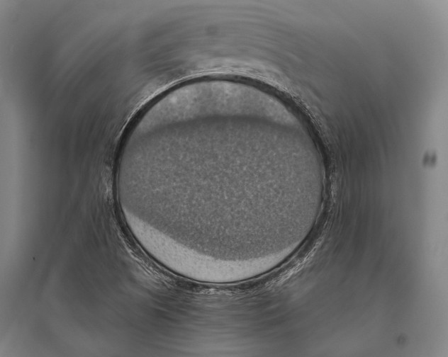 X0000096641505200803041114