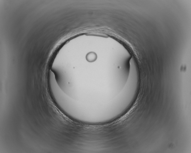 X0000096641506200803041114