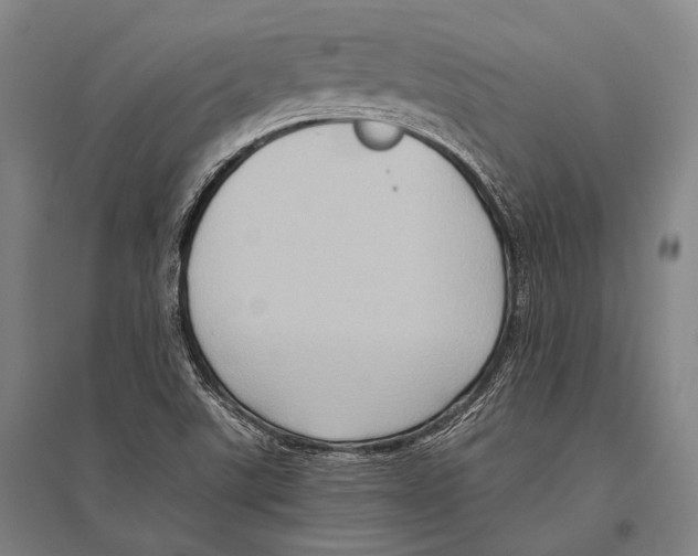 X0000096641507200803041114